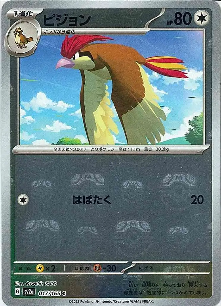 Pidgeotto Master Ball Holo 017