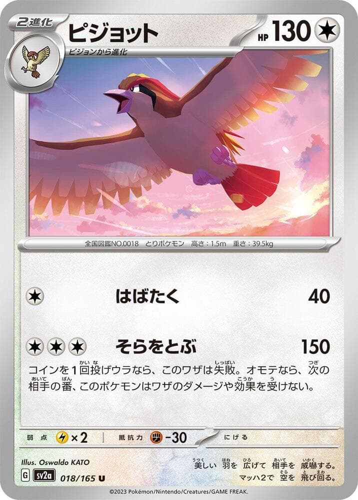 Pidgeot 018