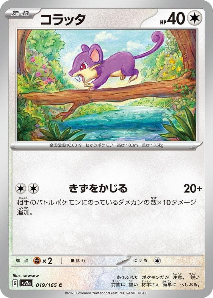 Rattata 019