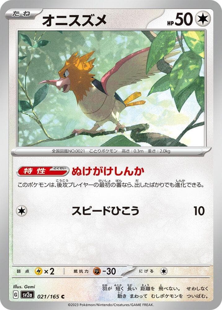 Spearow 021