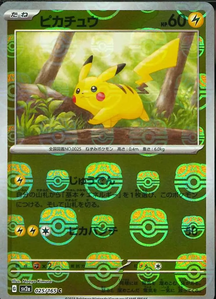 Pikachu Master Ball Holo 025