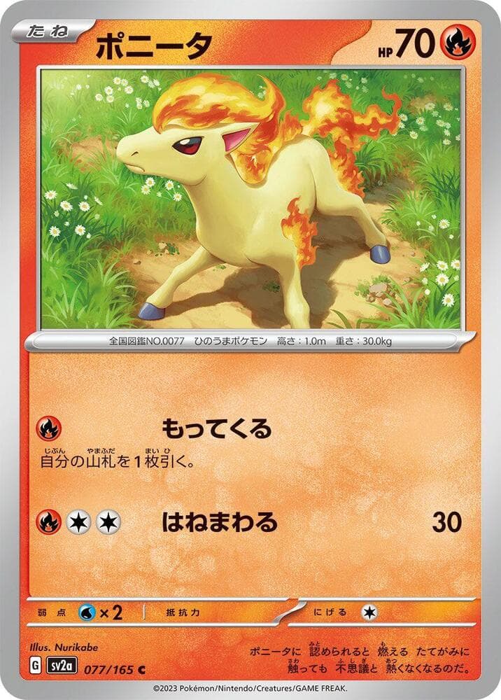 Ponyta 077