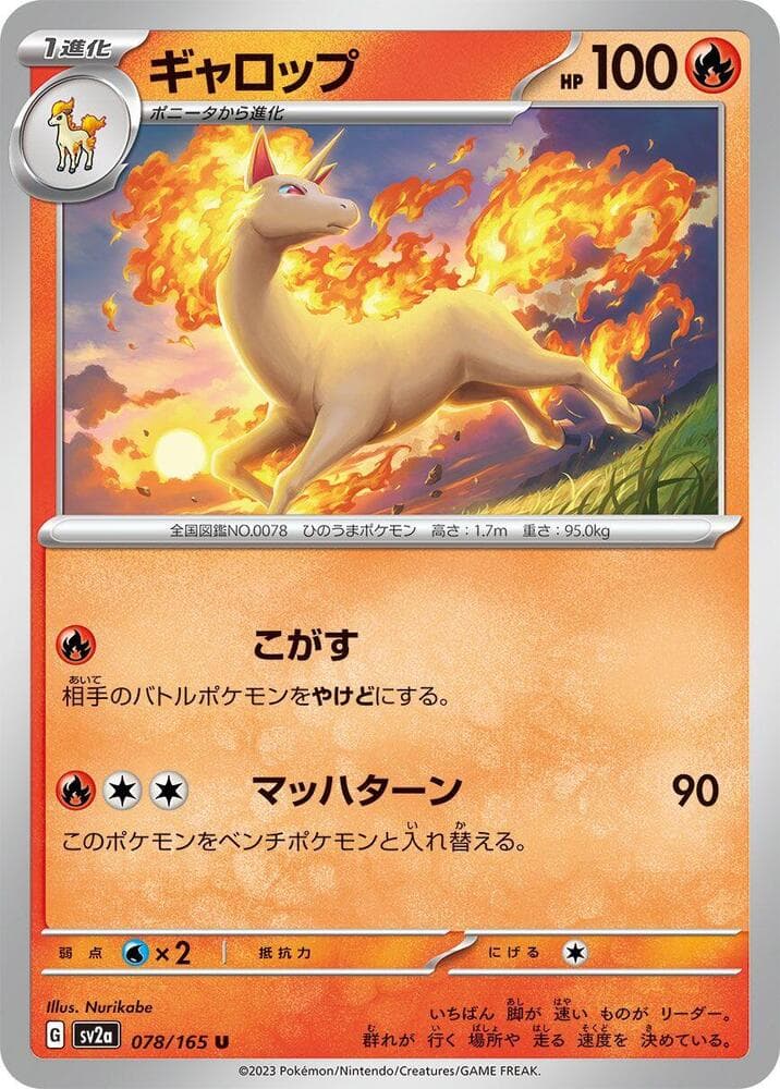 Rapidash 078