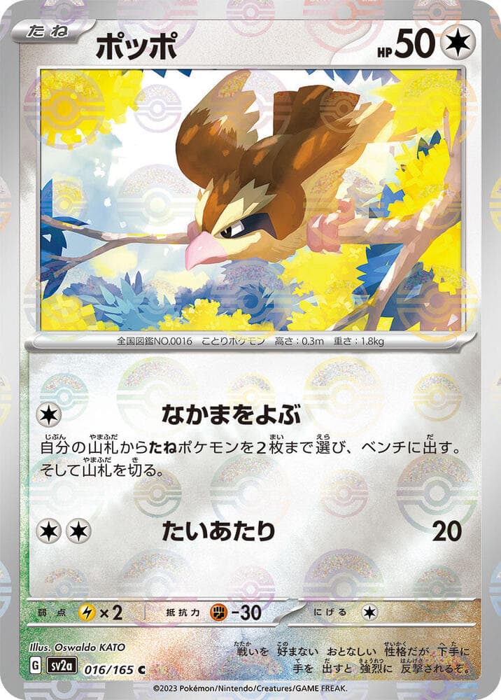 Pidgey Poke Ball Pattern 16 Holo