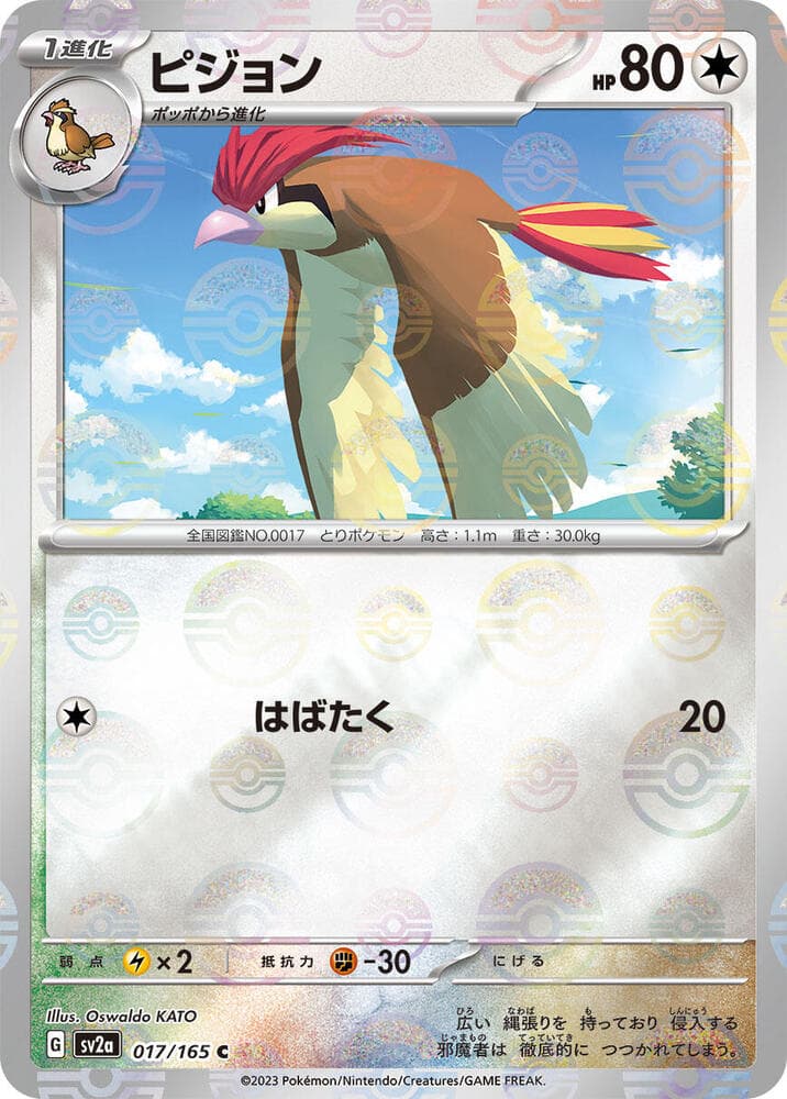 Pidgeotto Poke Ball Pattern 17