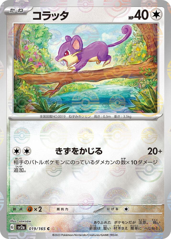 Rattata Poke Ball Pattern 19 Holo