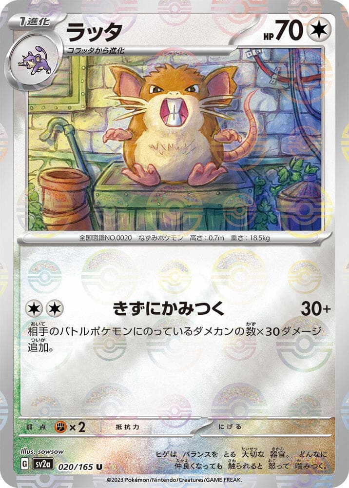 Raticate Poke Ball Pattern 20 Holo