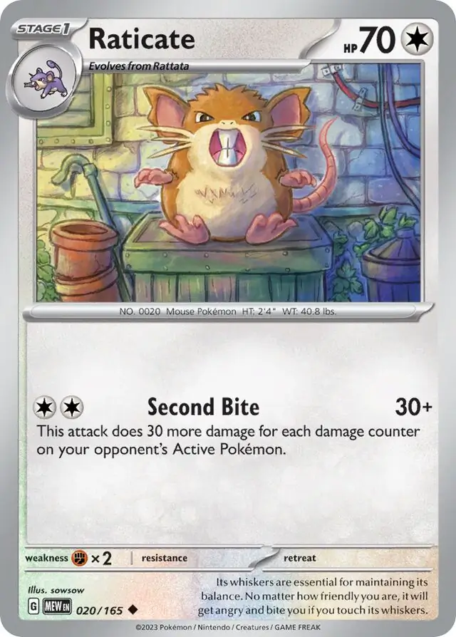 Raticate 020 Normal