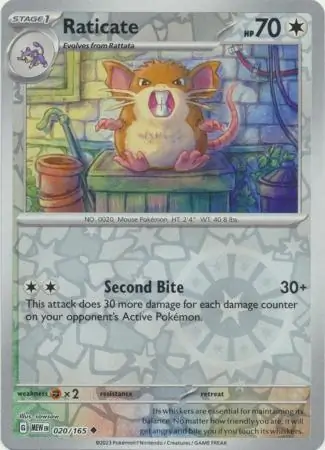 Raticate Reverse Holo 020 Normal
