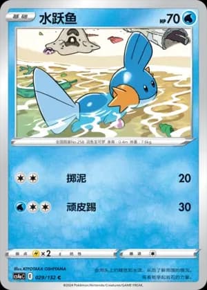 Mudkip 029
