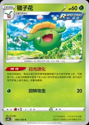 Skiploom 002 Normal