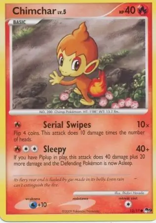Chimchar 13