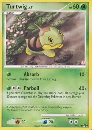 Turtwig 17