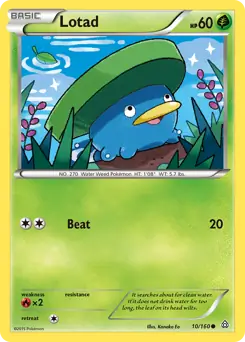 Lotad 10 Normal