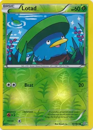 Lotad Reverse Holo 10 Normal