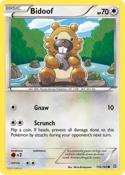 Bidoof 116 Normal