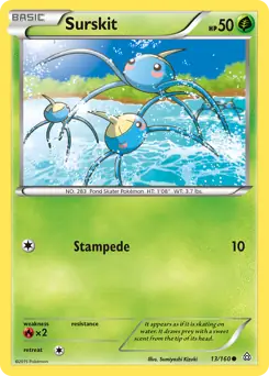 Surskit 13