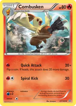 Combusken 27 Normal