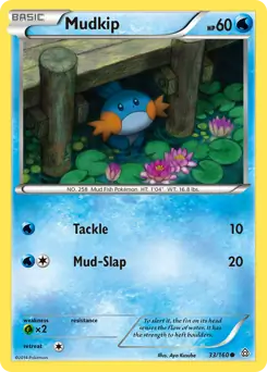 Mudkip 33 Normal