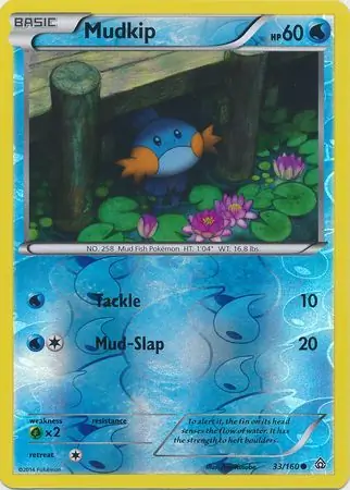Mudkip Reverse Holo 33 Normal