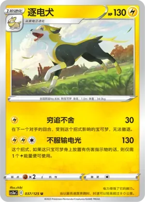 Boltund Reverse Holo 037 Normal