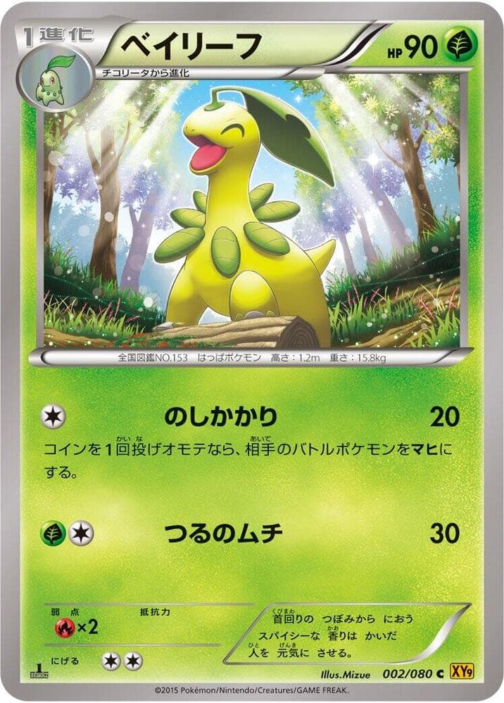 Bayleef 002 1st Edition