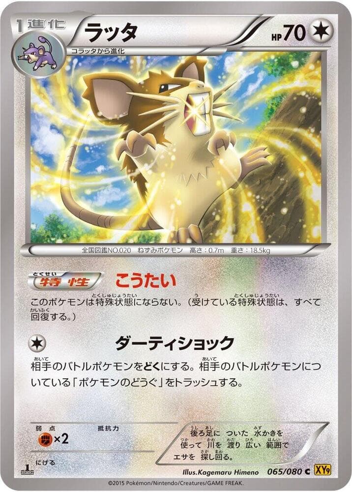 Raticate 65