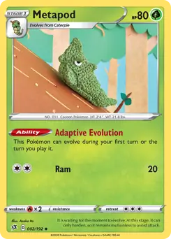 Metapod 002 Normal