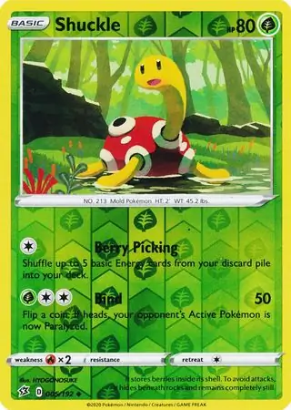 Shuckle Reverse Holo 005 Normal