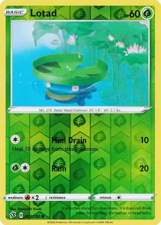 Lotad Reverse Holo 007 Normal
