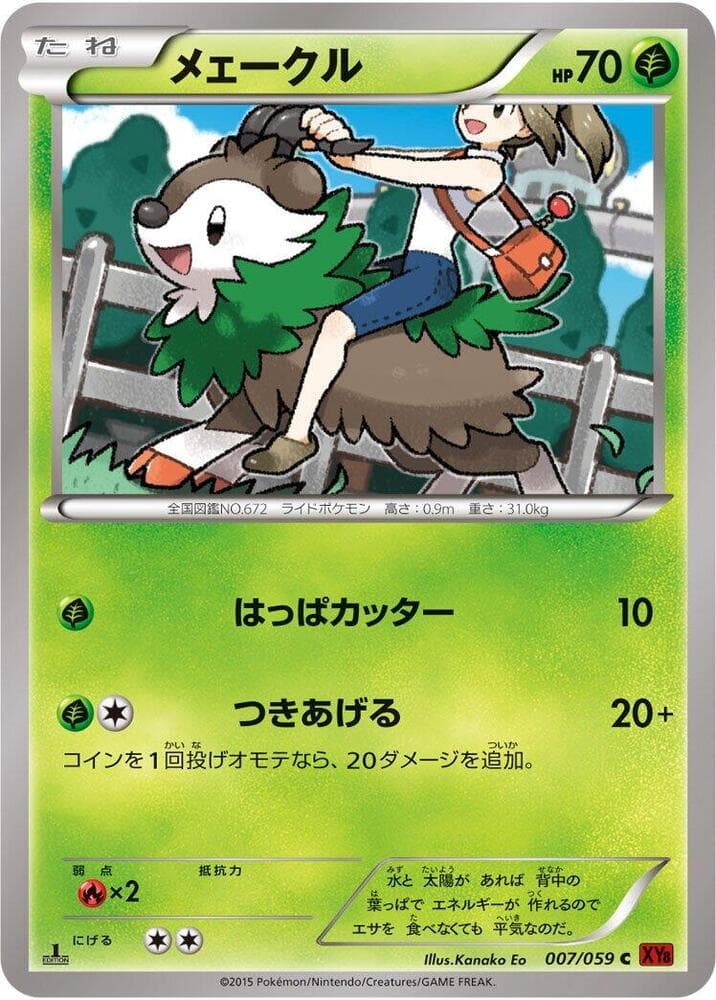 Skiddo 7