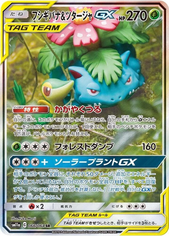 Venusaur & Snivy GX 066 Normal