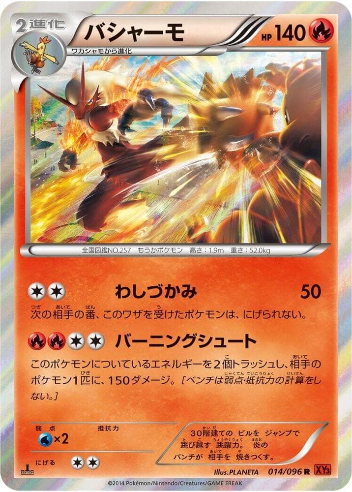 Blaziken 014