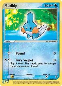 Mudkip 60 Normal
