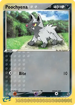 Poochyena 63