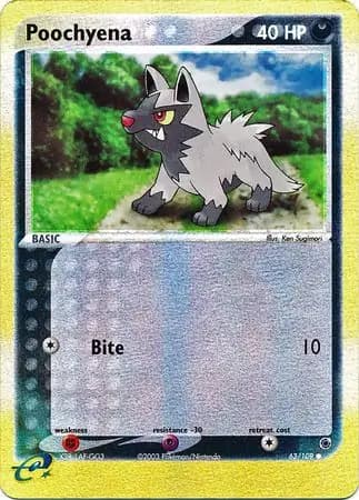 Poochyena Reverse Holo 63 Normal
