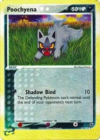 Poochyena Reverse Holo 65 Normal