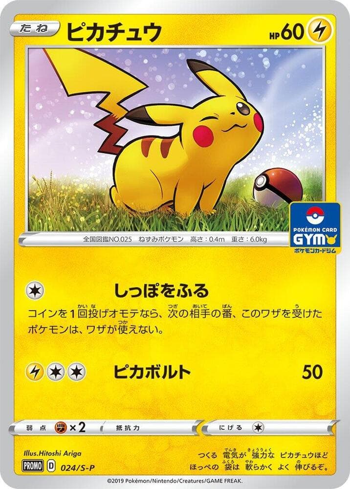 Pikachu 024