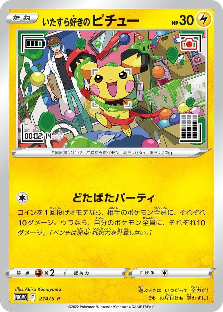 Mischievous Pichu 214 Normal