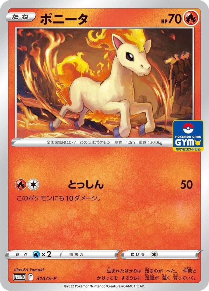 Ponyta 310 Normal