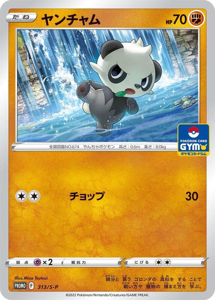 Pancham 313