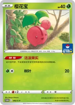 Cherubi 092