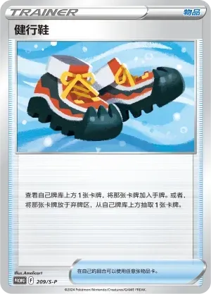 Trekking Shoes 209