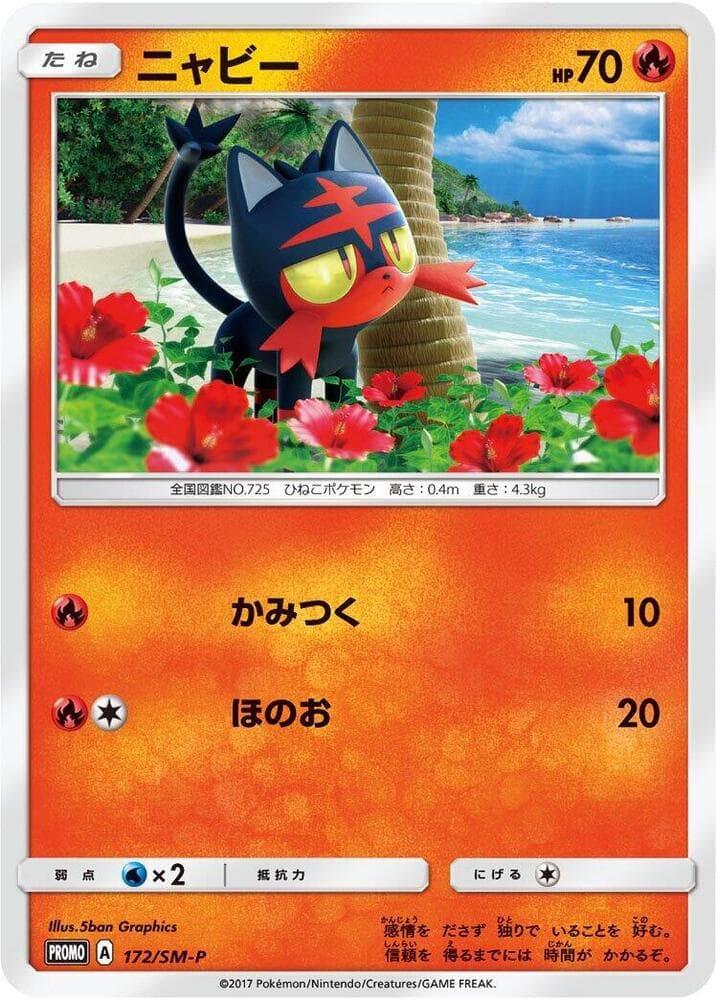 Litten 172 Normal