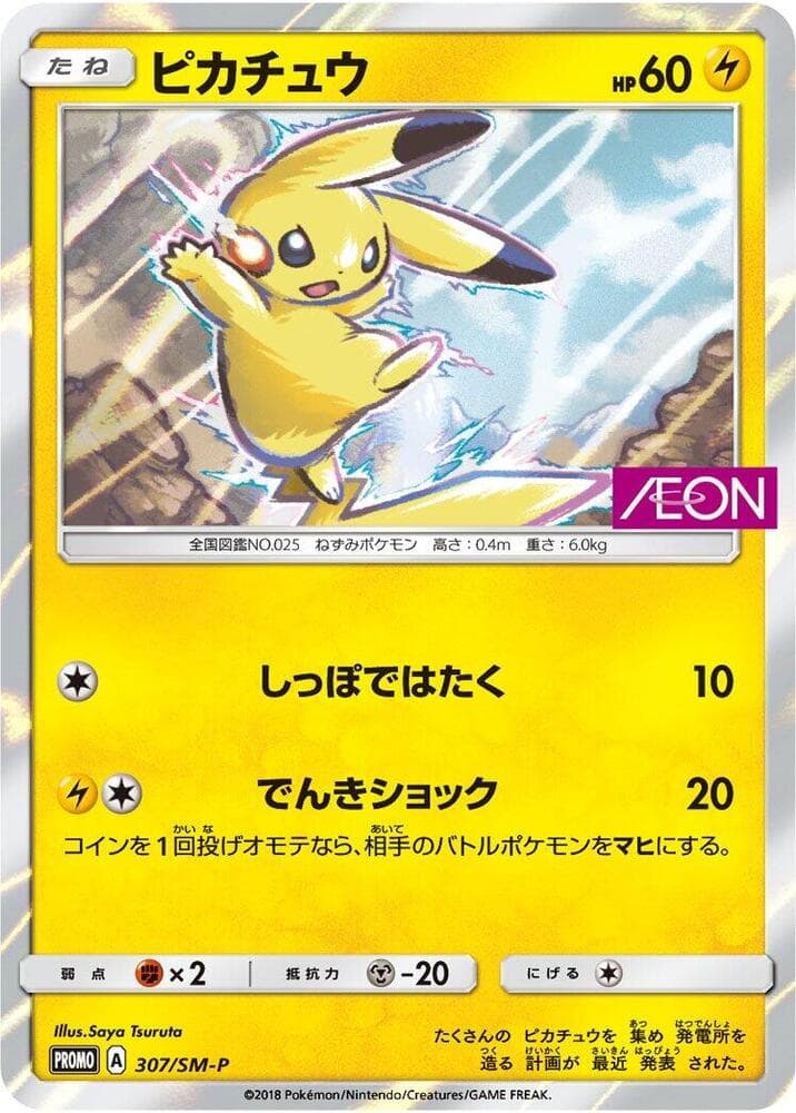 Pikachu 307 Normal