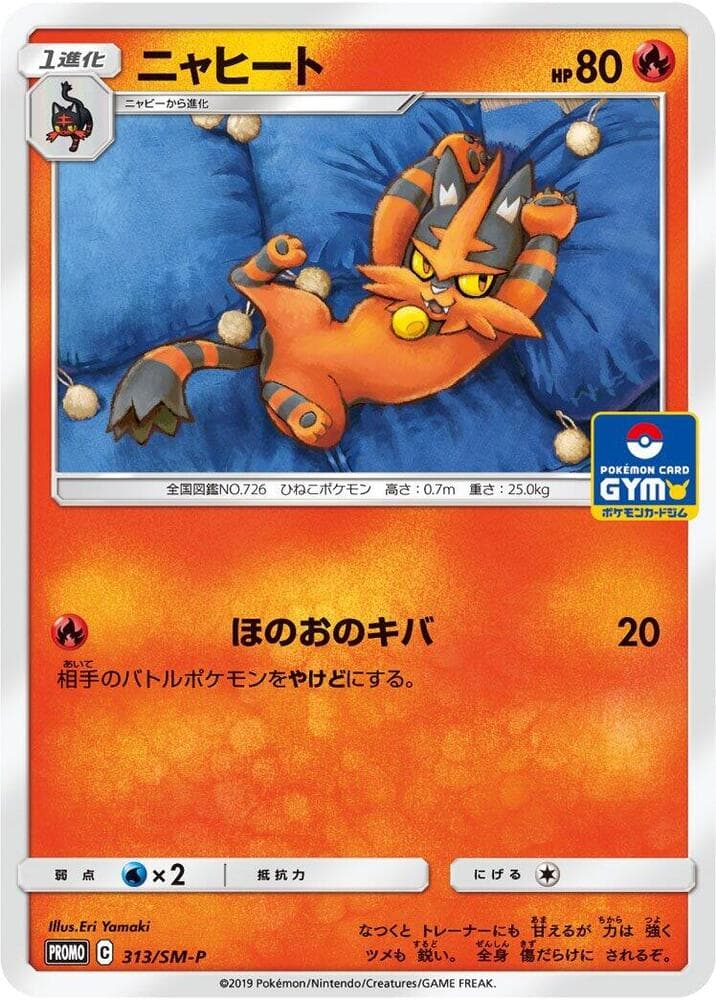Torracat 313