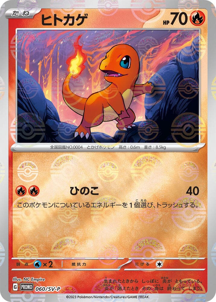 Charmander 060
