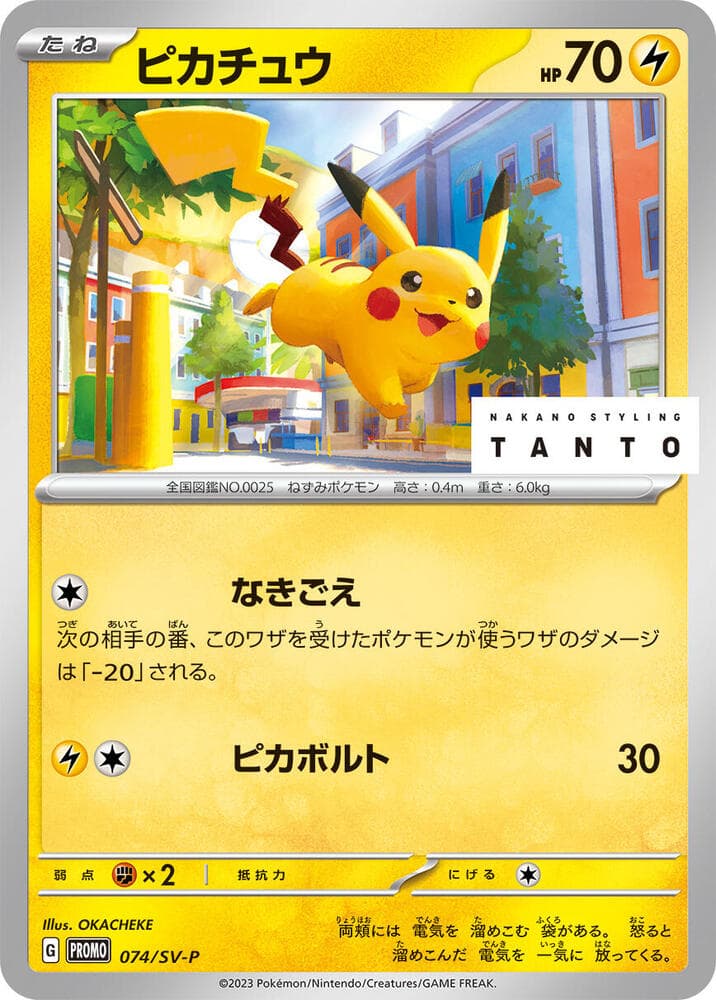 Pikachu 074 Normal