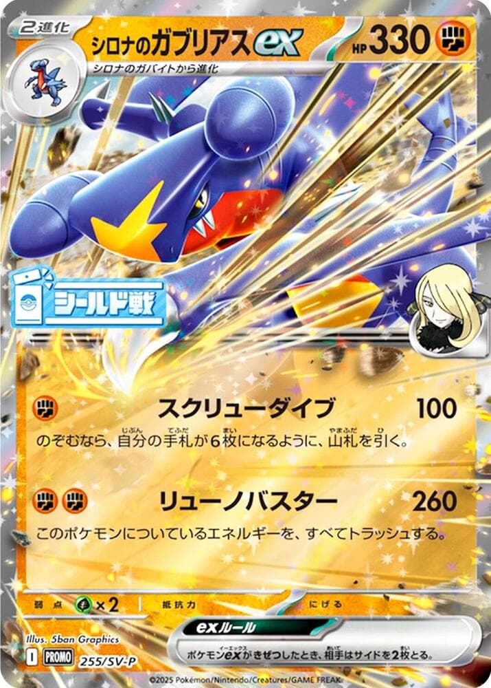 Cynthias Garchomp ex 255 Normal