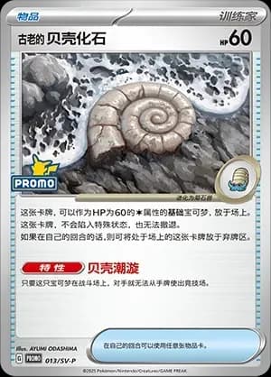 Antique Helix Fossil 013 Normal